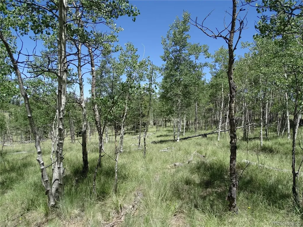 782 Bowstring Road Como CO 80432