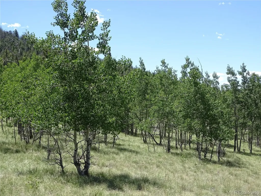 782 Bowstring Road Como CO 80432