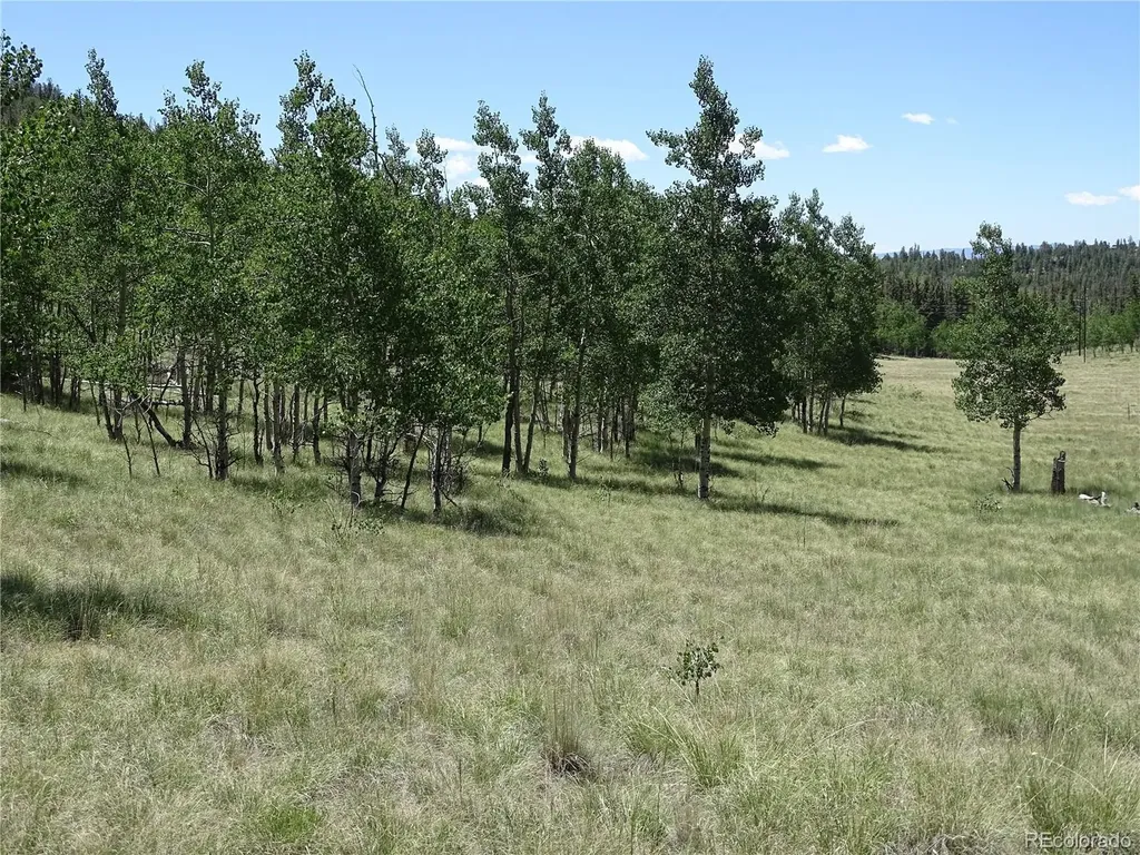 782 Bowstring Road Como CO 80432