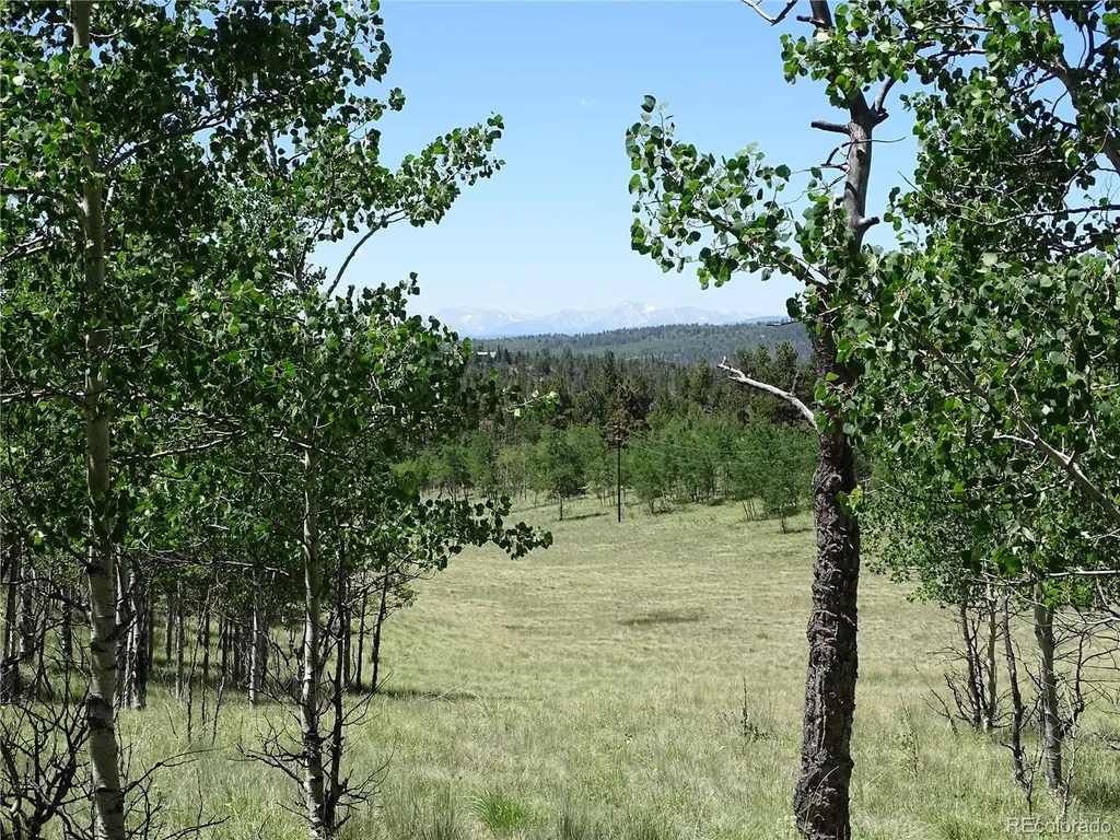 782 Bowstring Road Como CO 80432