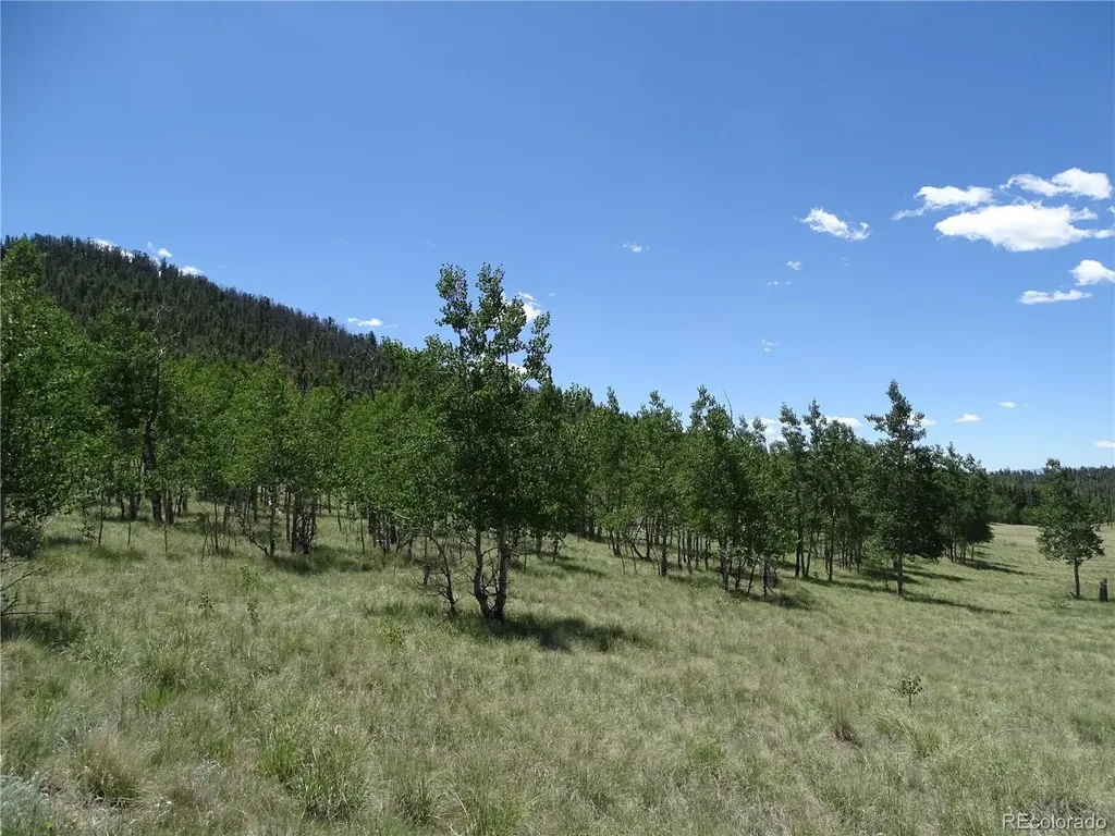 782 Bowstring Road Como CO 80432