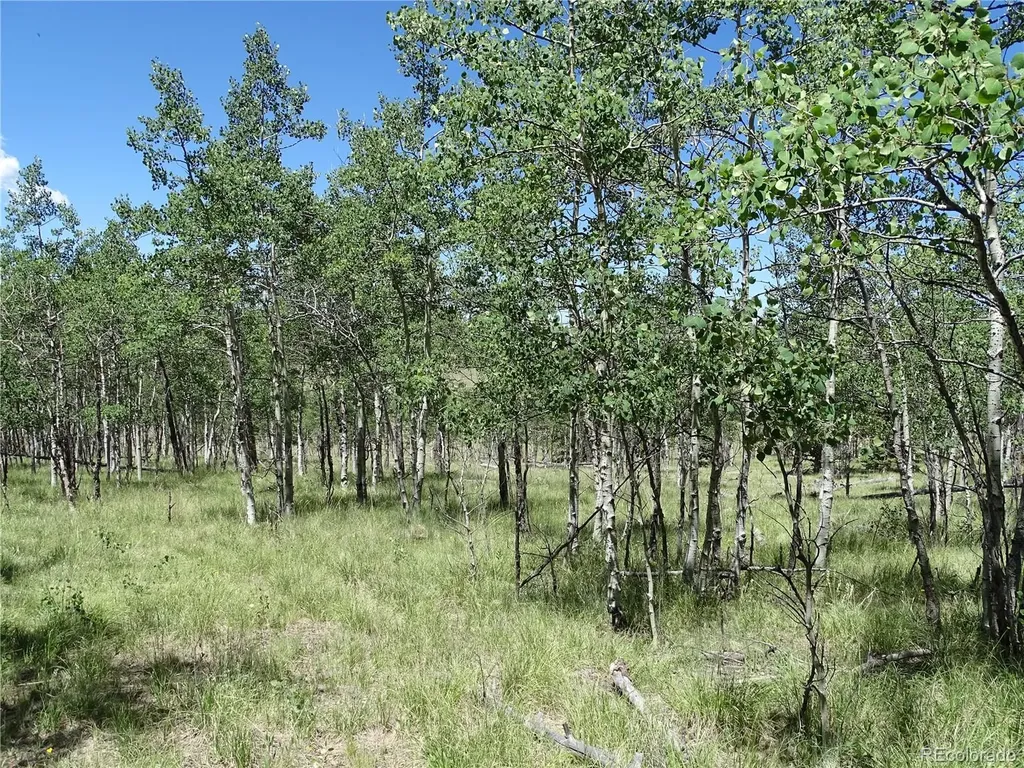 782 Bowstring Road Como CO 80432