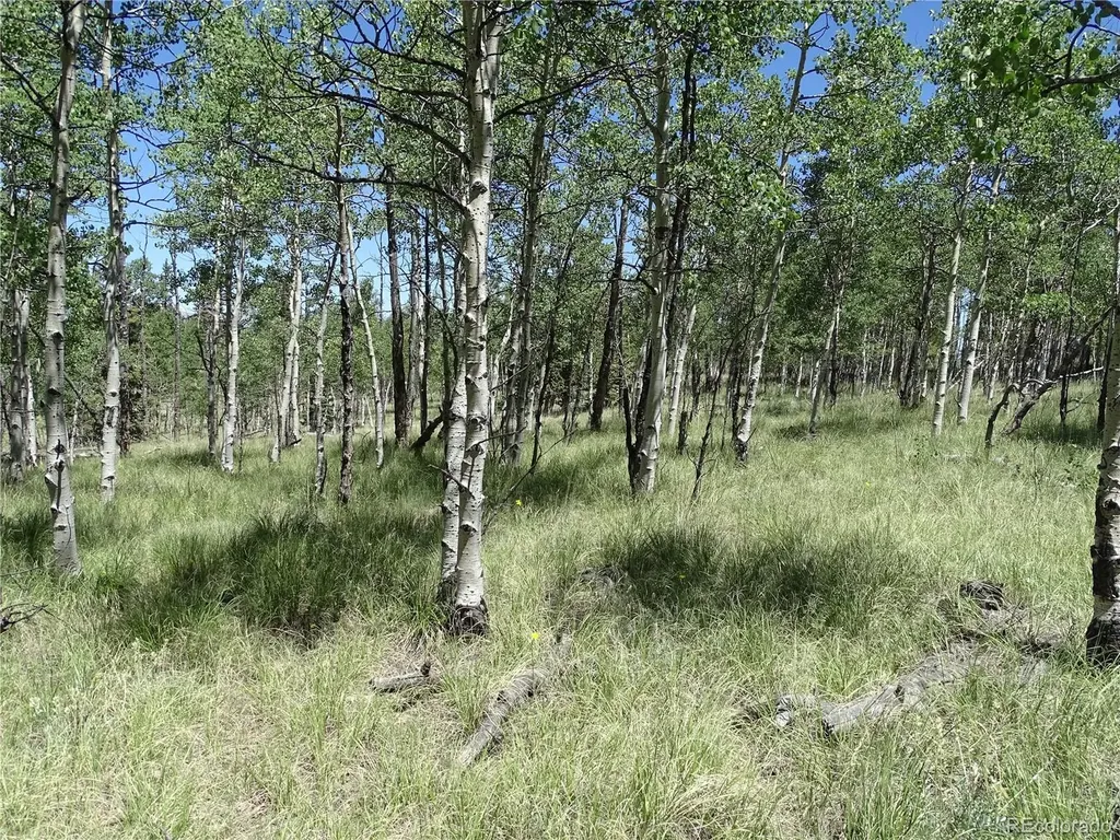 782 Bowstring Road Como CO 80432