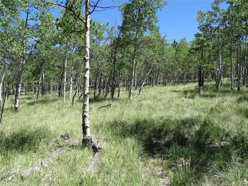 782 Bowstring Road Como CO 80432