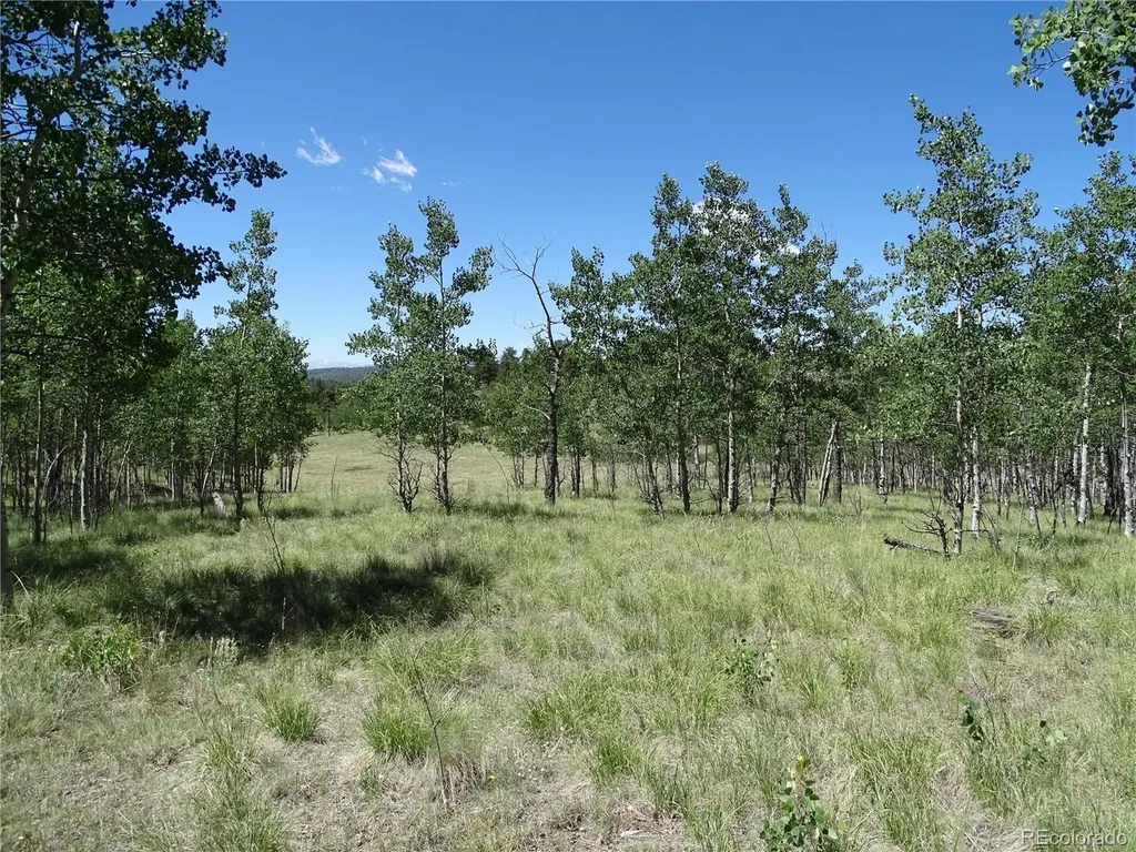 782 Bowstring Road Como CO 80432