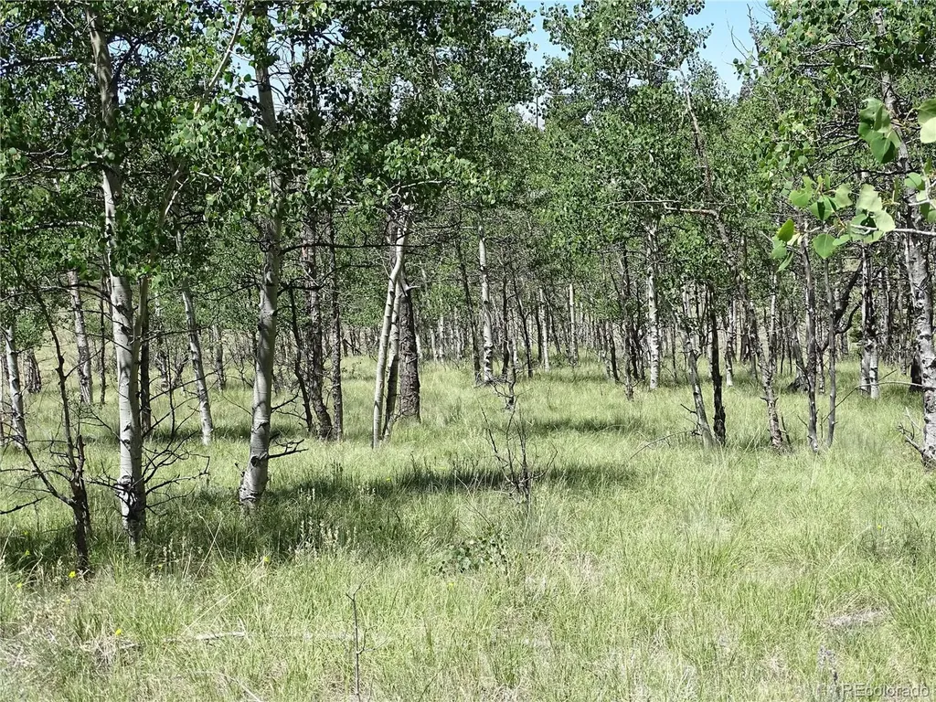 782 Bowstring Road Como CO 80432