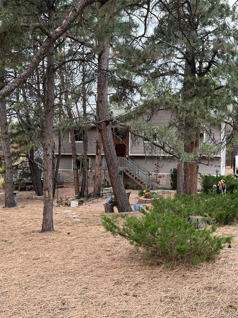 17730 Grama Ridge Colorado Springs CO 80908