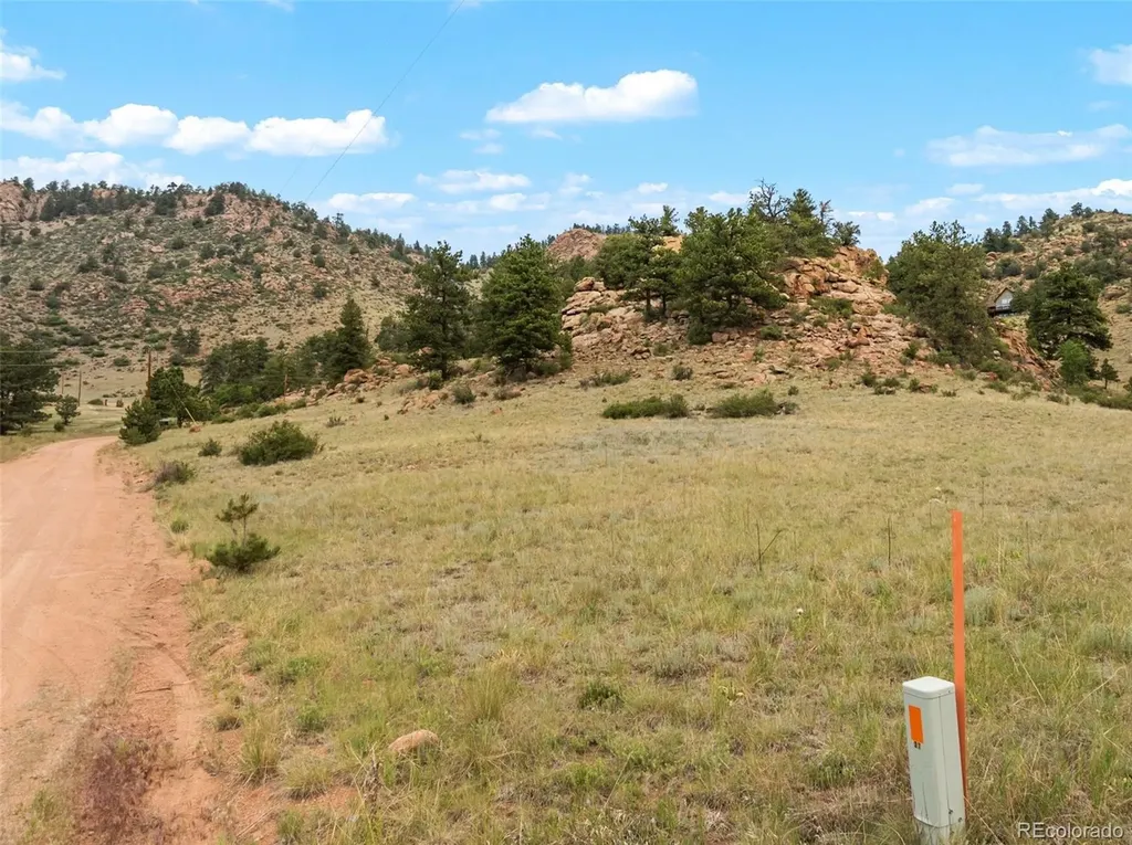 92 Sprucewood Drive Florissant CO 80816