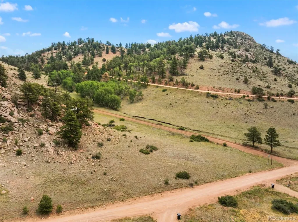 92 Sprucewood Drive Florissant CO 80816