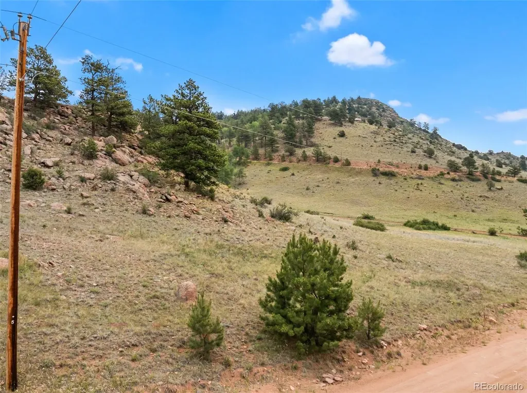 92 Sprucewood Drive Florissant CO 80816