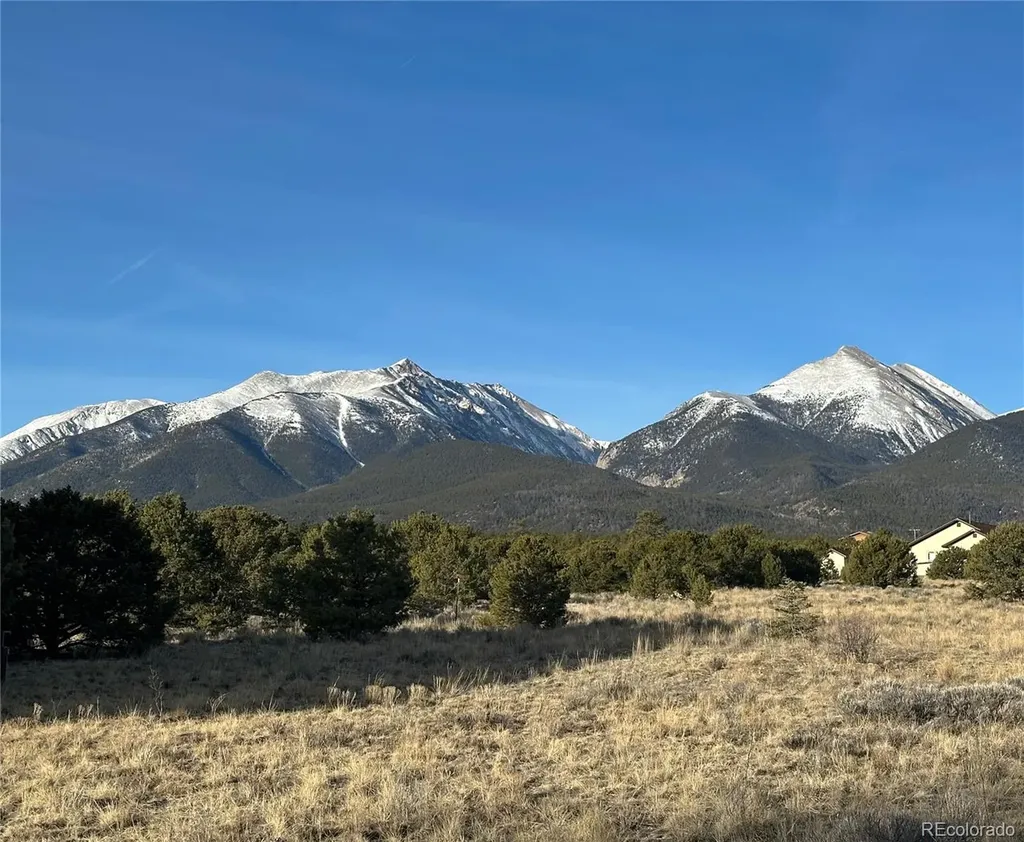 12880 County Road 261b Nathrop CO 81236