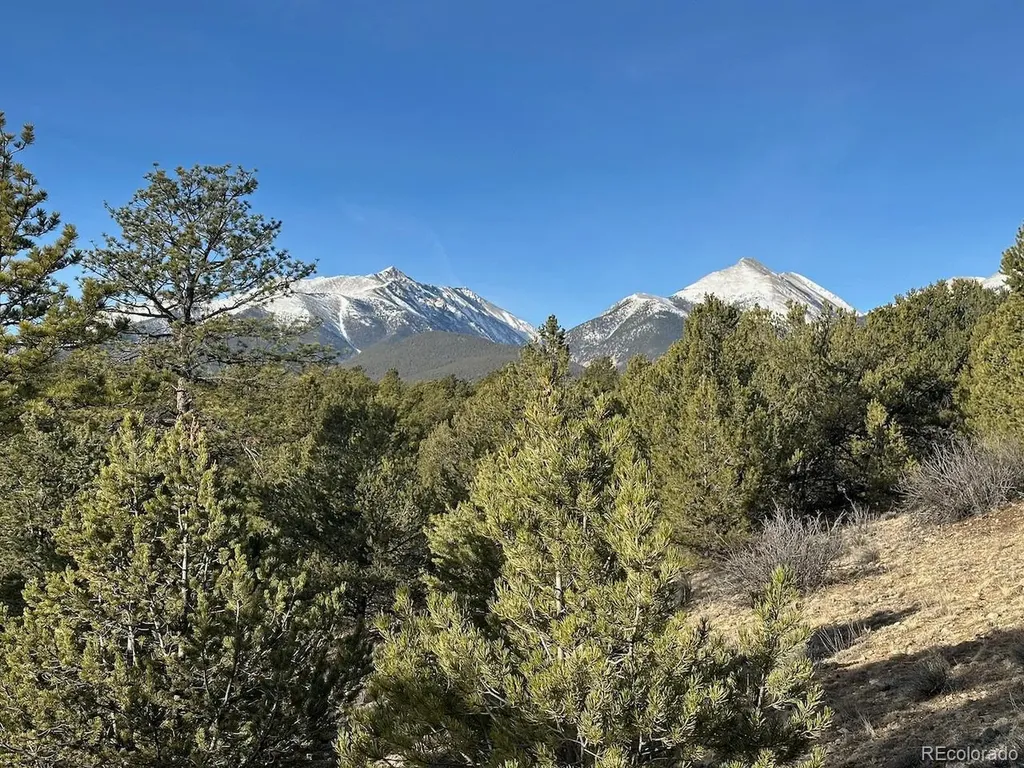 12880 County Road 261b Nathrop CO 81236