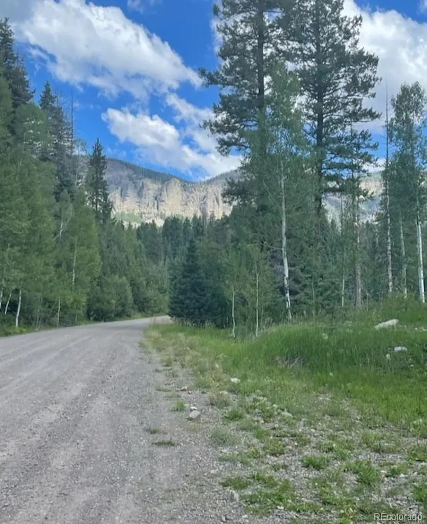 207 Camp Robber Drive Creede CO 81130