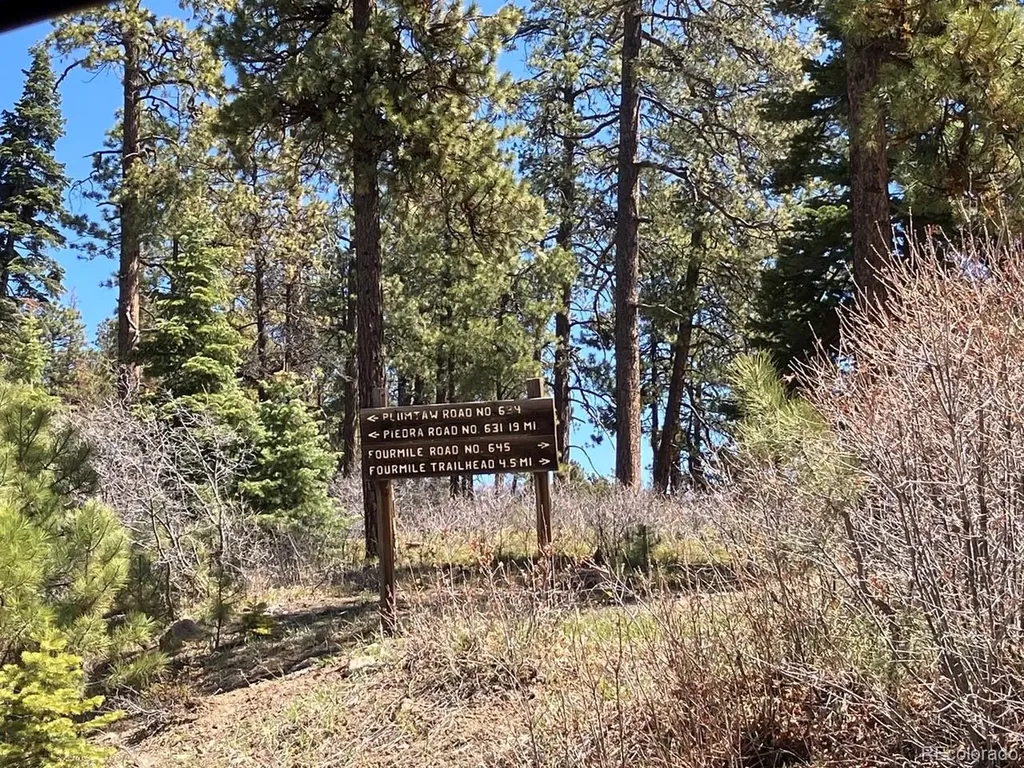 207 Camp Robber Drive Creede CO 81130