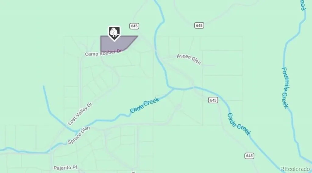 207 Camp Robber Drive Creede CO 81130