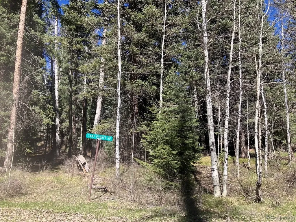 207 Camp Robber Drive Creede CO 81130