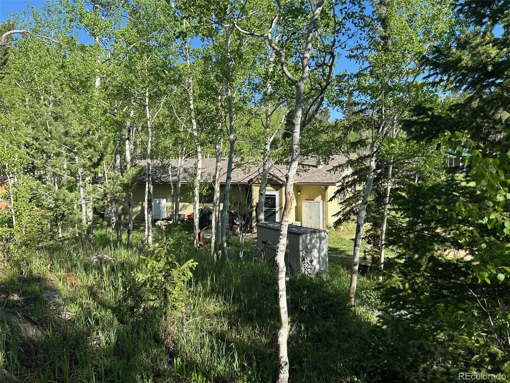 1746 Lump Gulch Road Black Hawk CO 80422