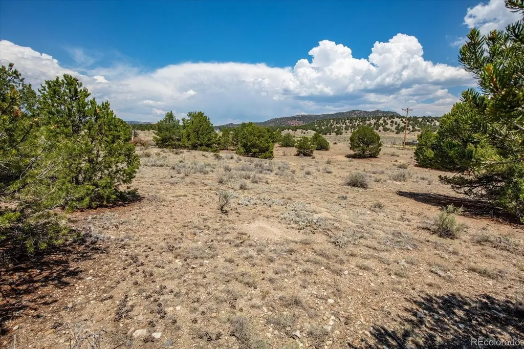 0 Tbd County Road 193 Salida CO 81201
