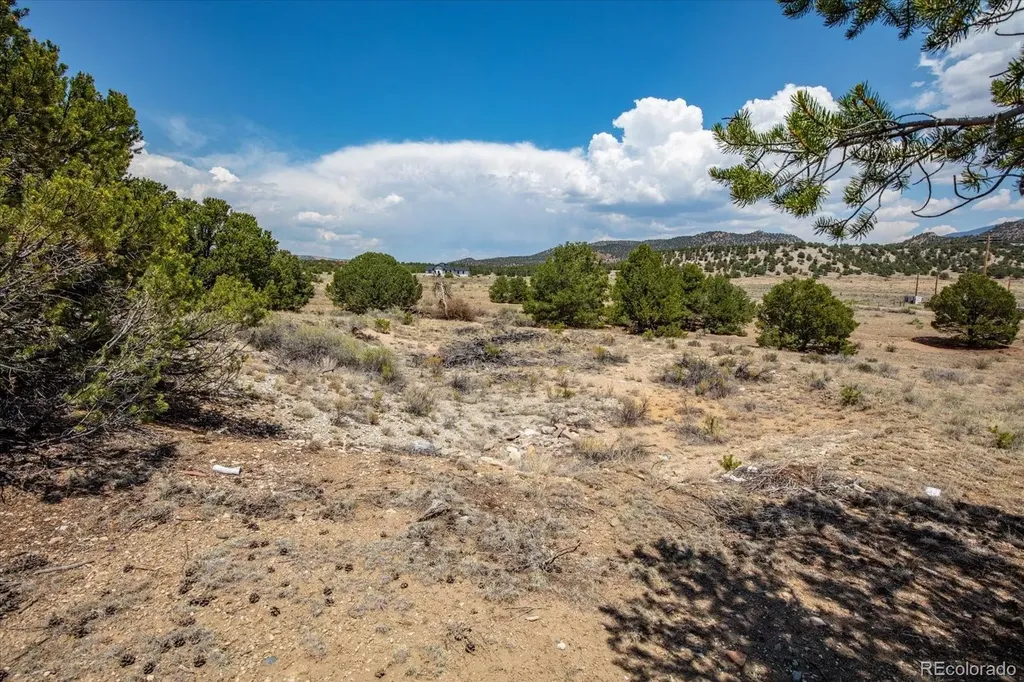 0 Tbd County Road 193 Salida CO 81201