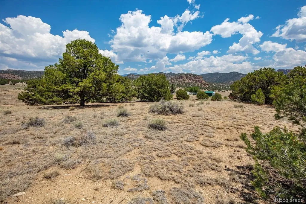 0 Tbd County Road 193 Salida CO 81201
