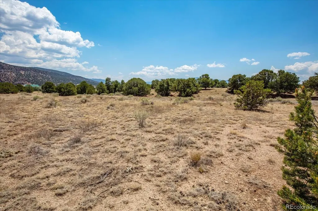 0 Tbd County Road 193 Salida CO 81201