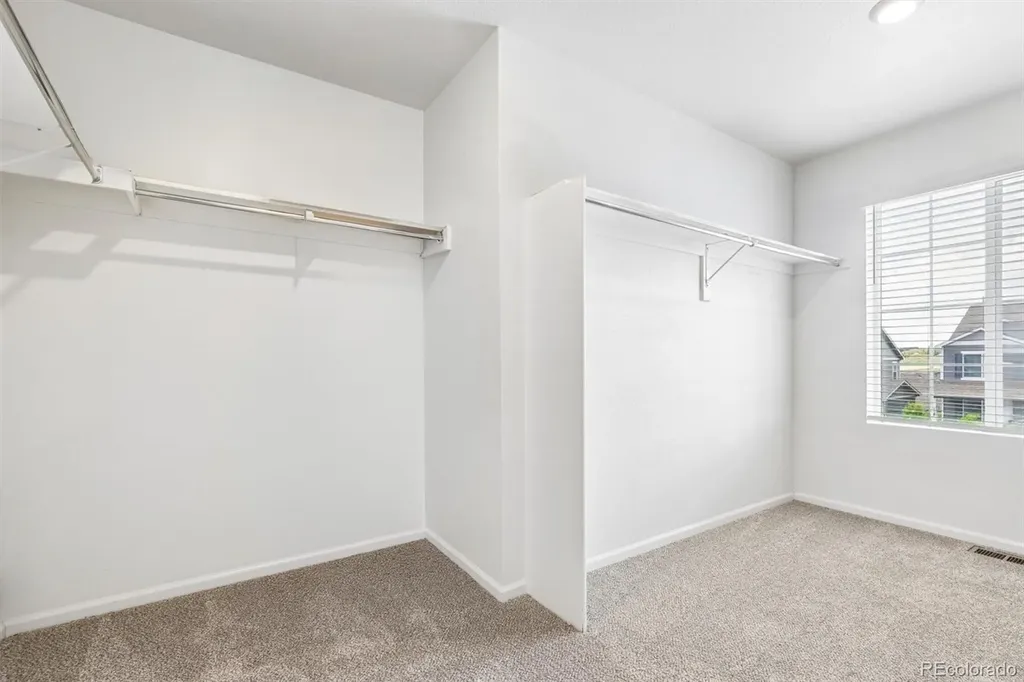 5823 Plains End Court Castle Rock CO 80104