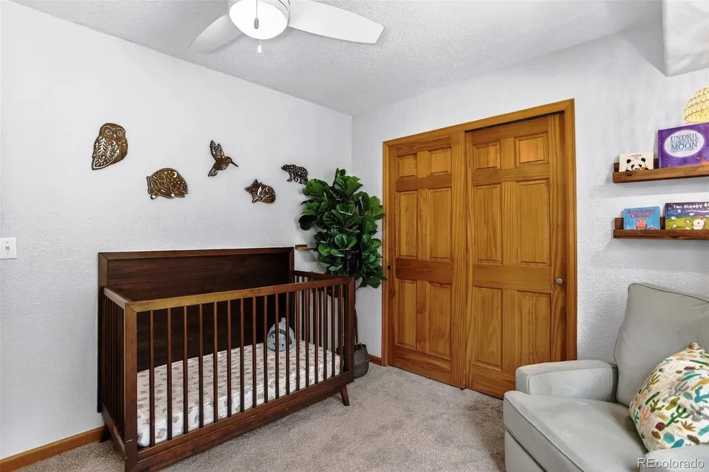 10972 Milliken Avenue Conifer CO 80433