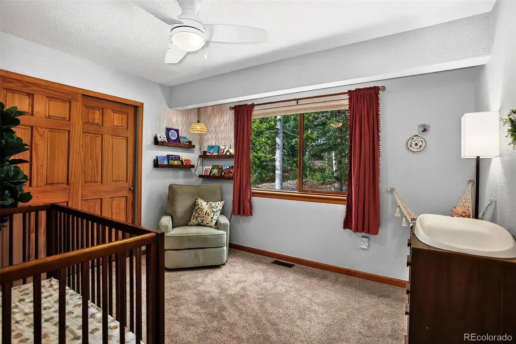 10972 Milliken Avenue Conifer CO 80433
