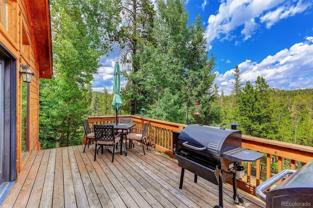 10972 Milliken Avenue Conifer CO 80433