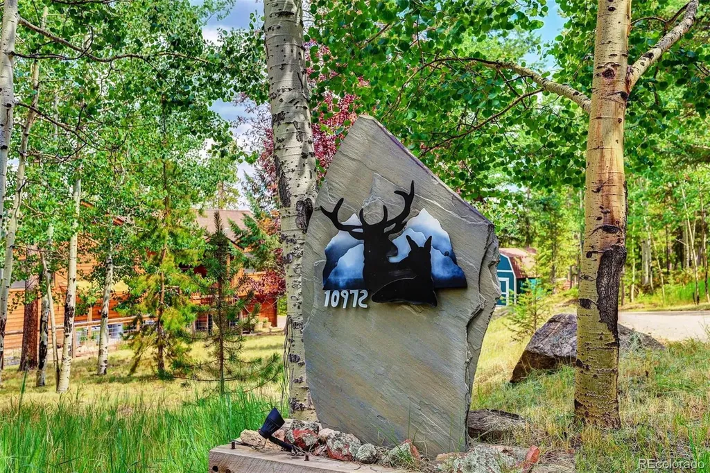 10972 Milliken Avenue Conifer CO 80433
