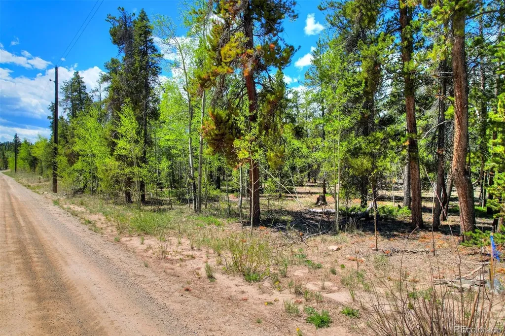 337 Busch Run Road Fairplay CO 80440