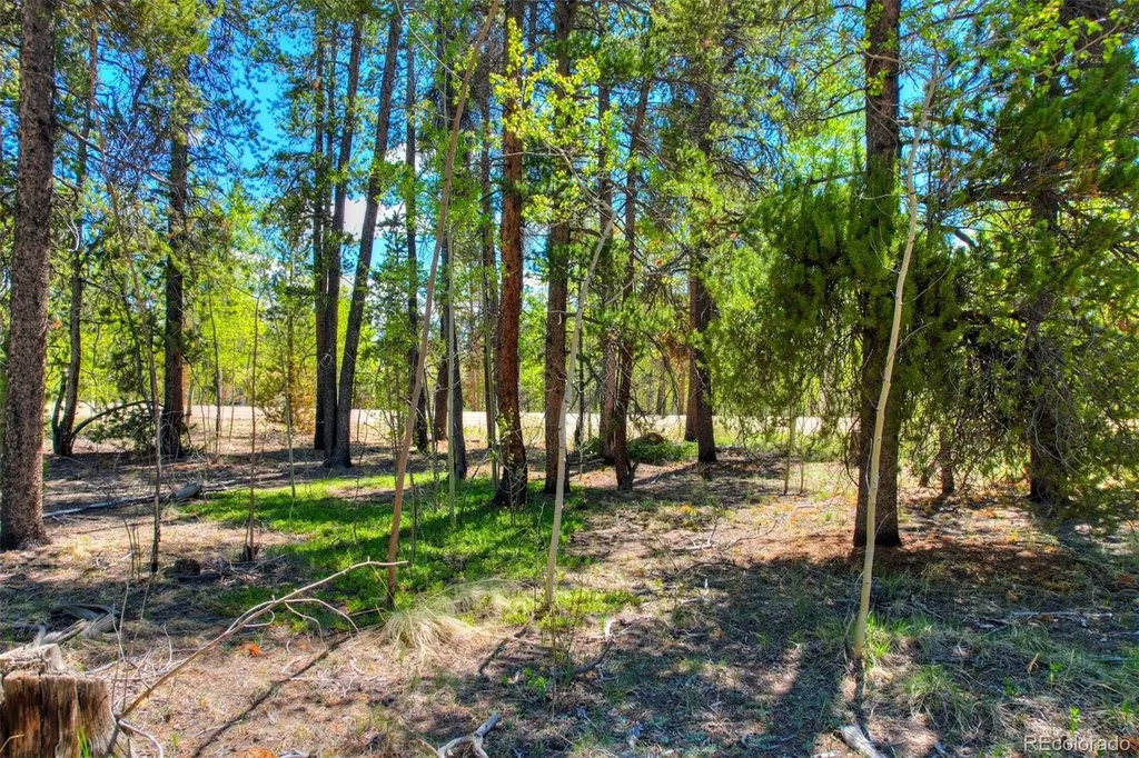 337 Busch Run Road Fairplay CO 80440