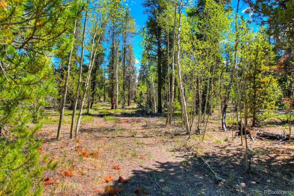 337 Busch Run Road Fairplay CO 80440