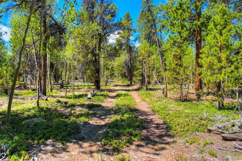 337 Busch Run Road Fairplay CO 80440