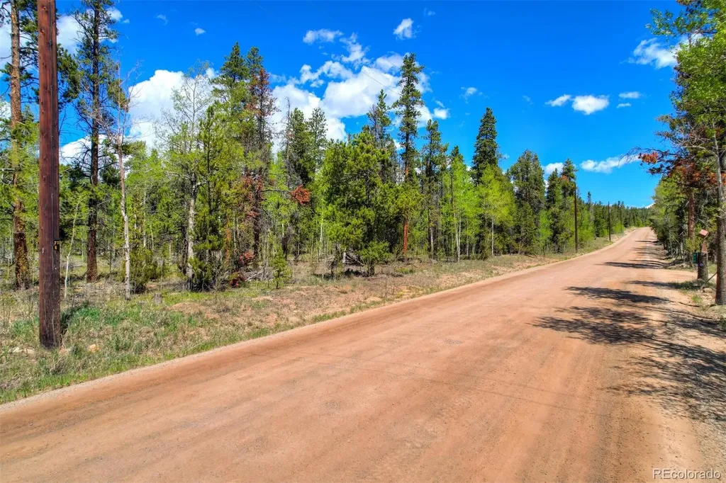 337 Busch Run Road Fairplay CO 80440