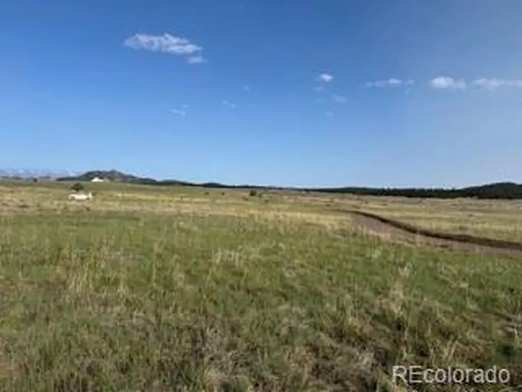 464 Burroback Court Cotopaxi CO 81223