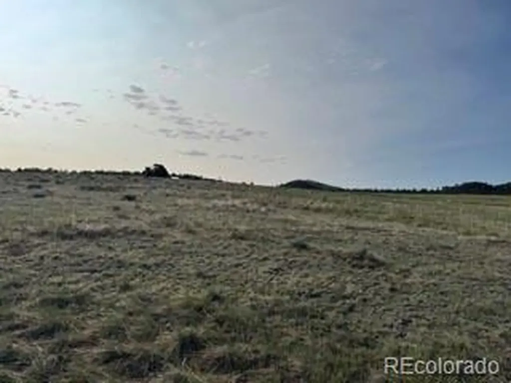 464 Burroback Court Cotopaxi CO 81223