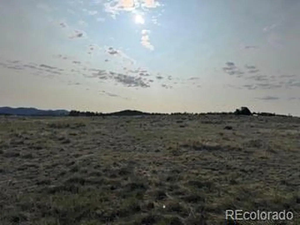 464 Burroback Court Cotopaxi CO 81223