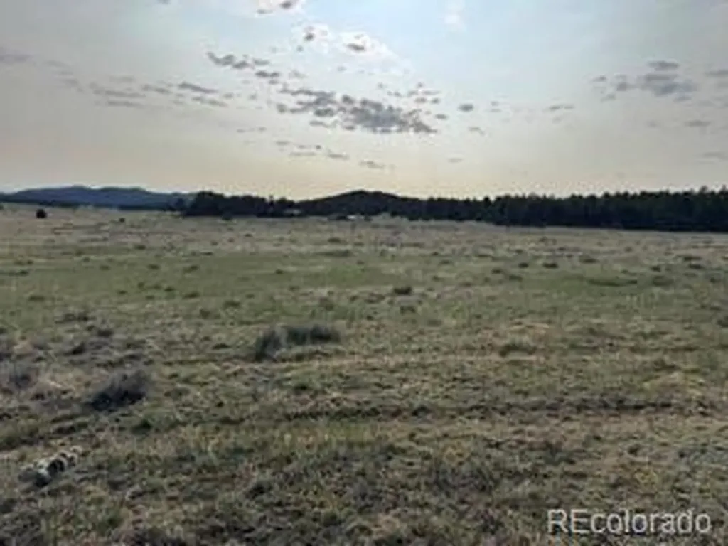 464 Burroback Court Cotopaxi CO 81223
