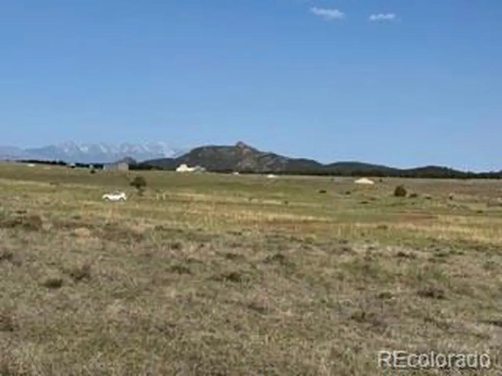 464 Burroback Court Cotopaxi CO 81223