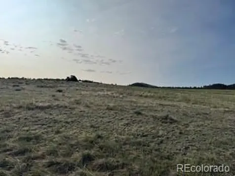 464 Burroback Court Cotopaxi CO 81223