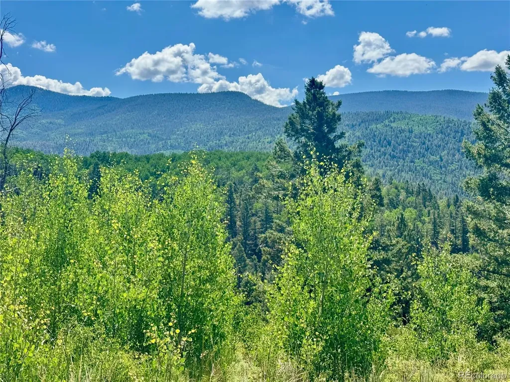 Lot 5850 Richardson Road Fort Garland CO 81152
