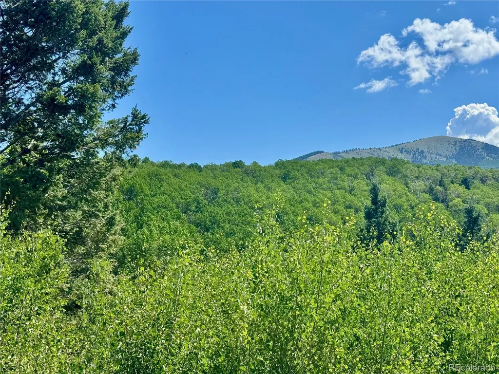 Lot 5850 Richardson Road Fort Garland CO 81152