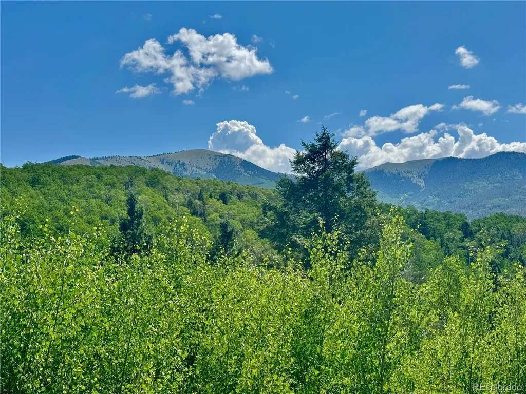 Lot 5850 Richardson Road Fort Garland CO 81152