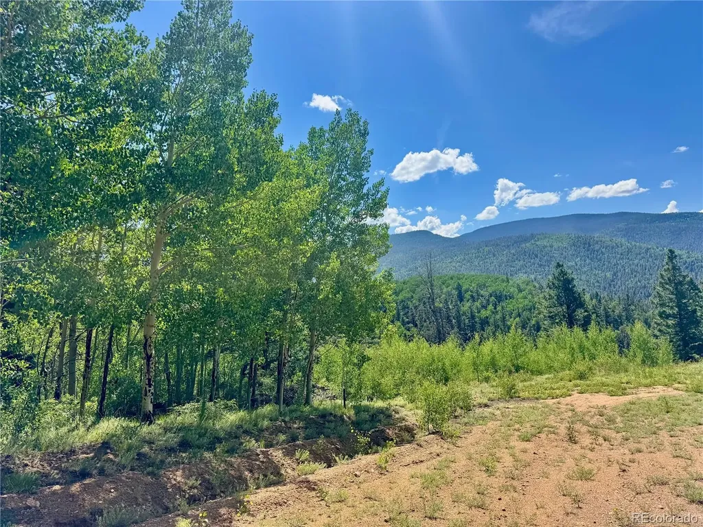 Lot 5850 Richardson Road Fort Garland CO 81152