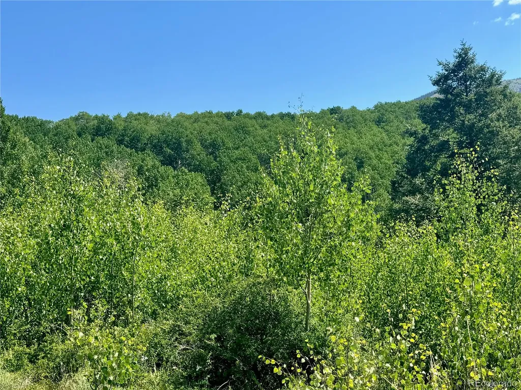 Lot 5850 Richardson Road Fort Garland CO 81152