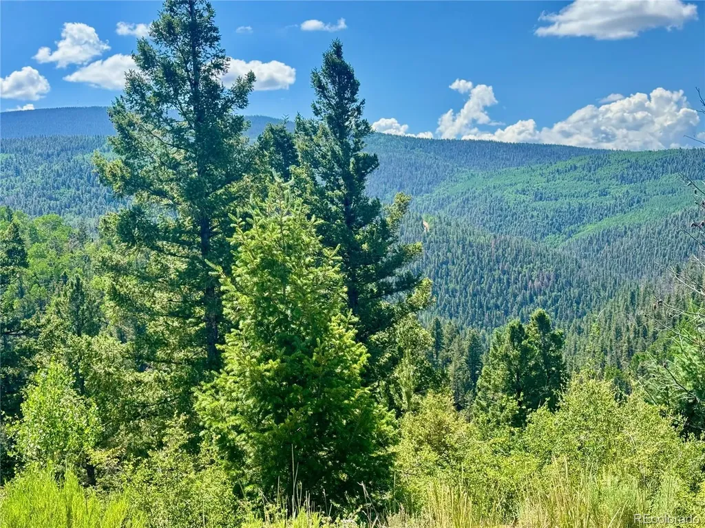 Lot 5850 Richardson Road Fort Garland CO 81152