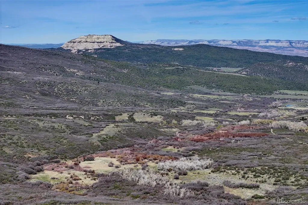 5962 Highway 65 Mesa CO 81643