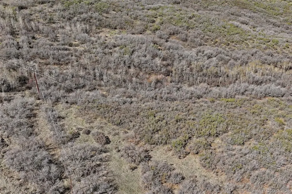 5962 Highway 65 Mesa CO 81643