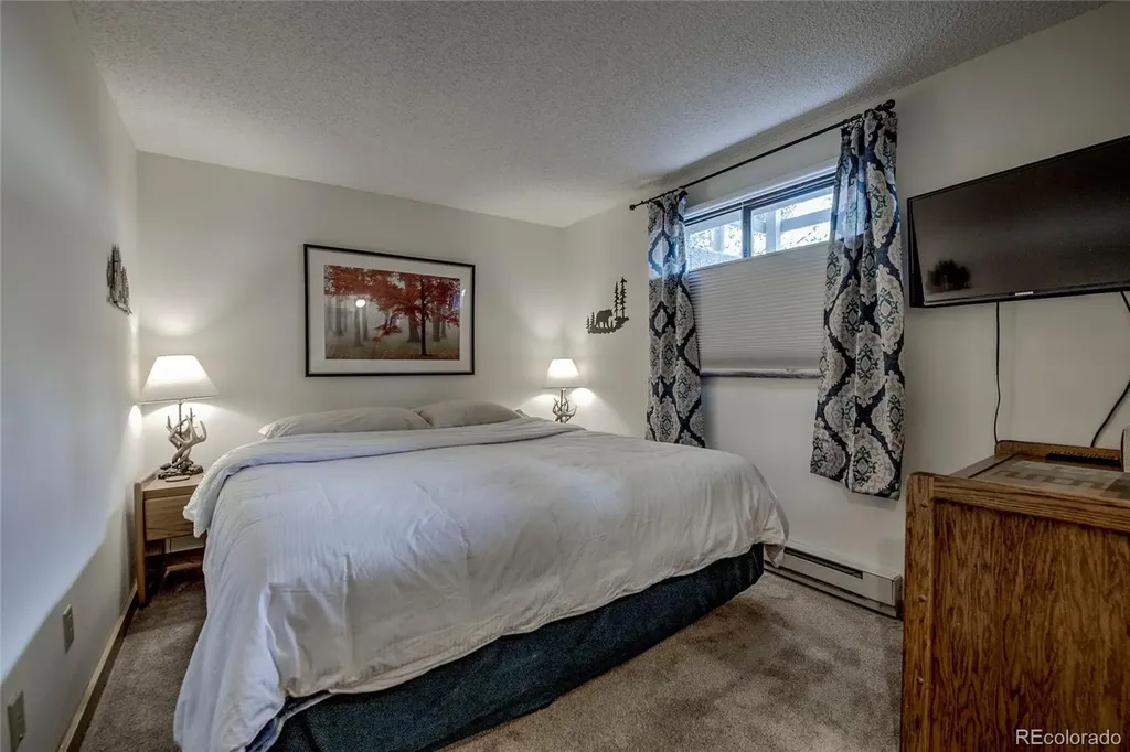187 N Fuller Placer Road Breckenridge CO 80424